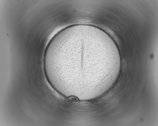 X0000089861432200707262119