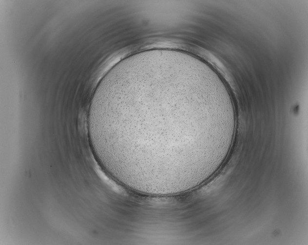 X0000089861433200707262119