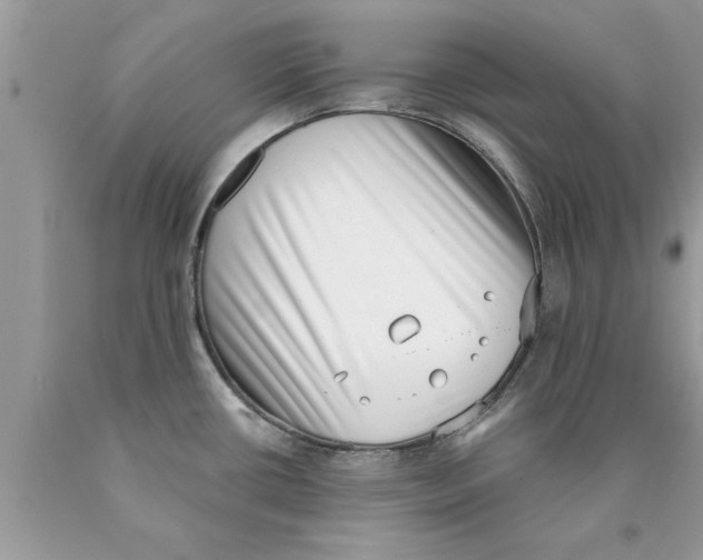 X0000089861434200707262119