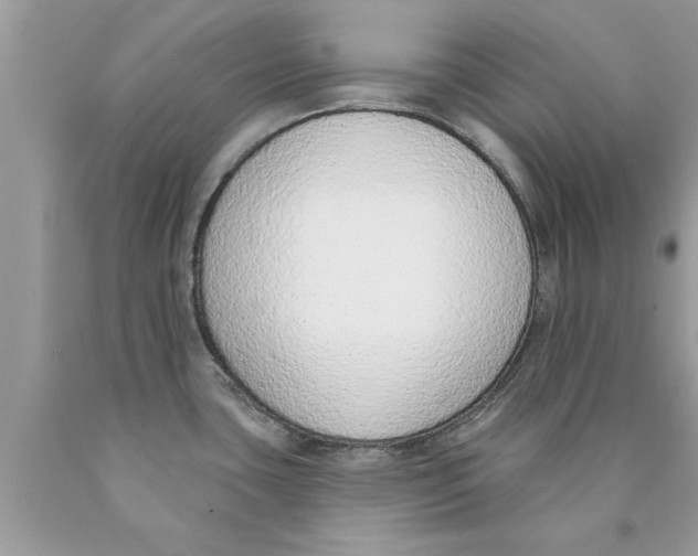 X0000089861435200707262119