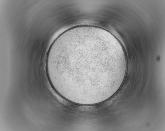 X0000089861437200707262119