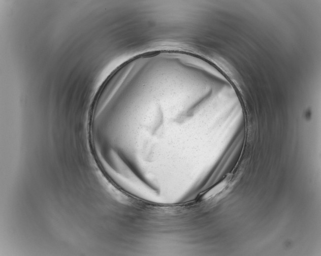 X0000089861438200707262119