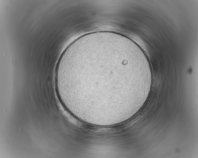 X0000089861439200707262119