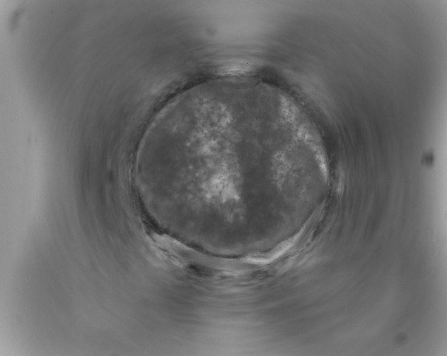 X0000089861441200707262118