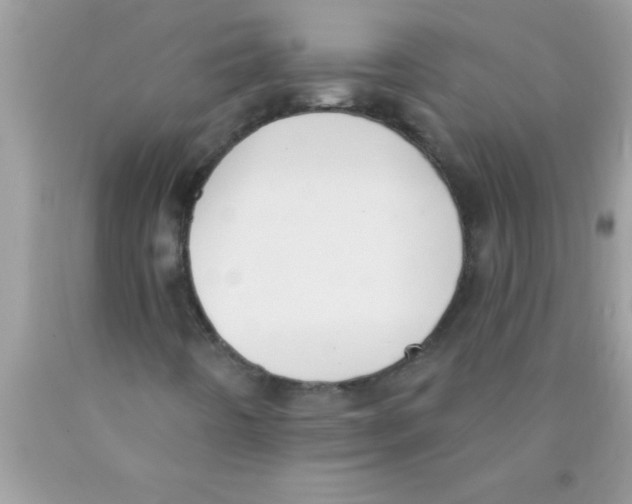 X0000089861442200707262118