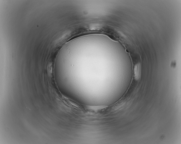 X0000089861443200707262118