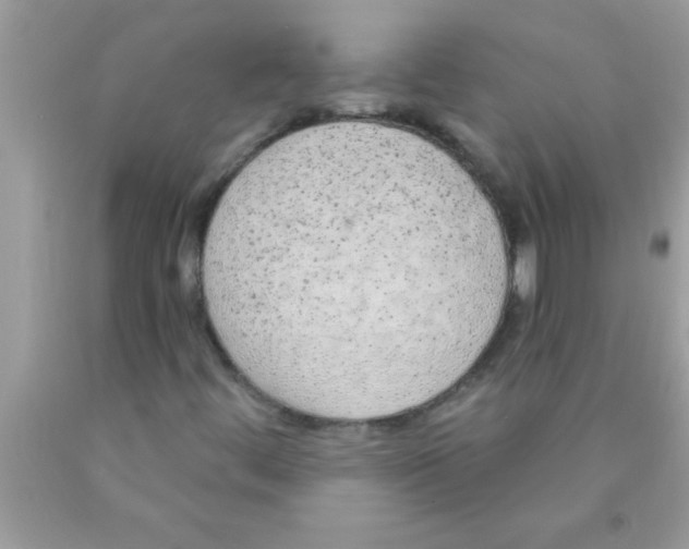 X0000089861444200707262118