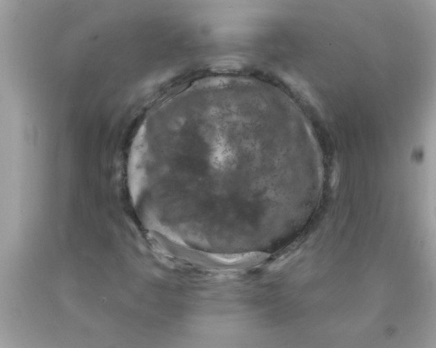 X0000089861445200707262118