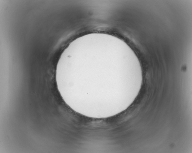 X0000089861447200707262118