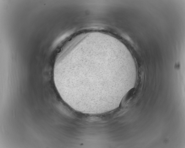 X0000089861448200707262118