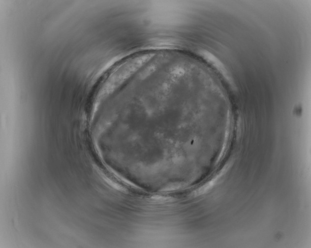 X0000089861449200707262118