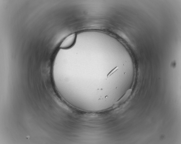 X0000089861450200707262118