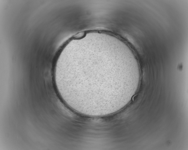 X0000089861452200707262118