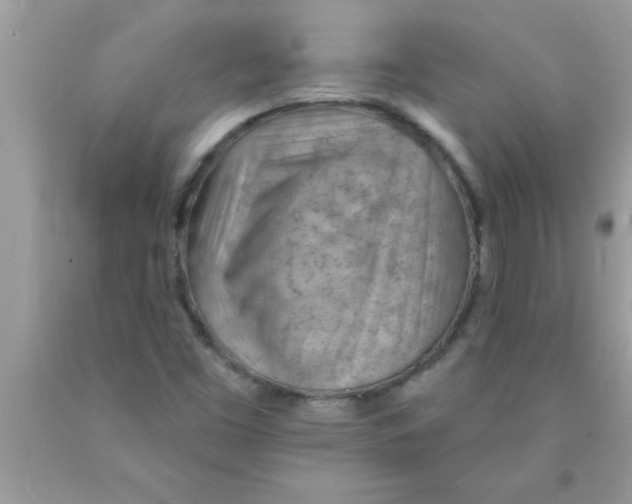 X0000089861453200707262118