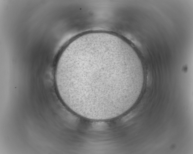 X0000089861454200707262118