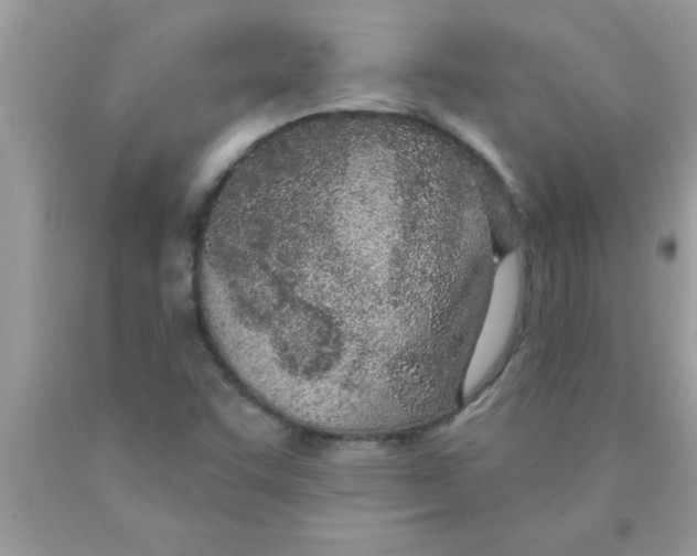 X0000089861455200707262118