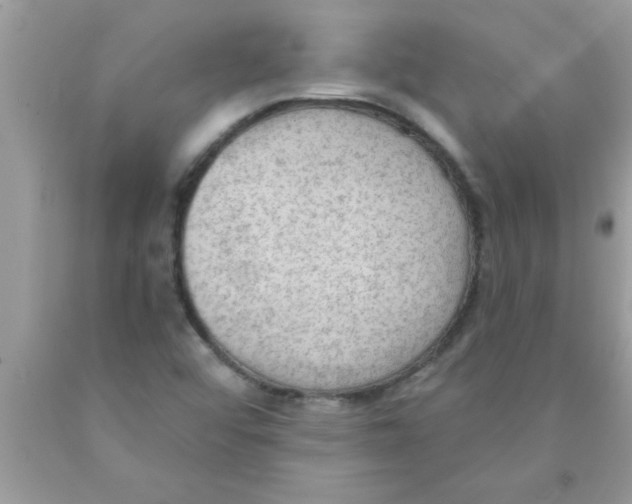 X0000089861456200707262118