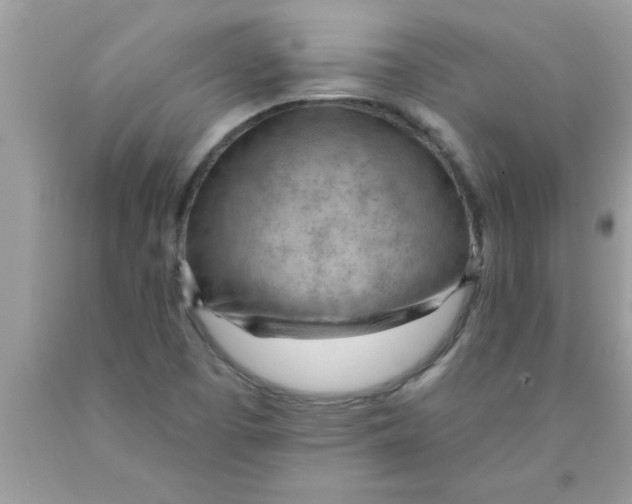 X0000089861457200707262118