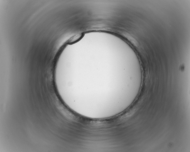 X0000089861458200707262118