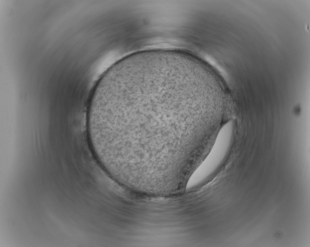 X0000089861459200707262118