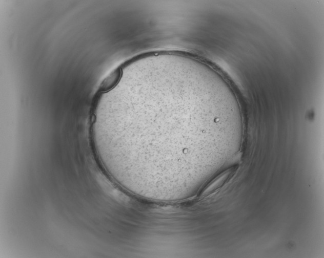 X0000089861460200707262118