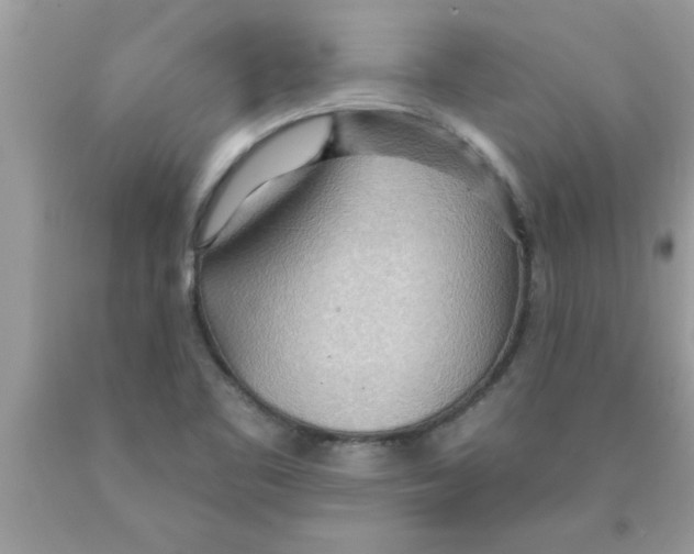 X0000089861461200707262118