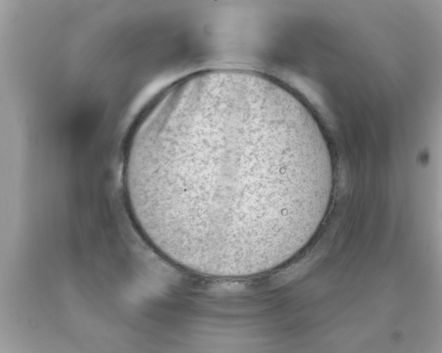 X0000089861462200707262118