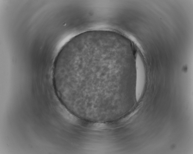 X0000089861463200707262118