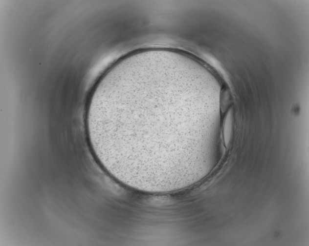 X0000089861464200707262118