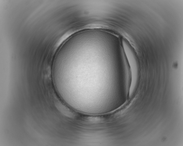 X0000089861465200707262118