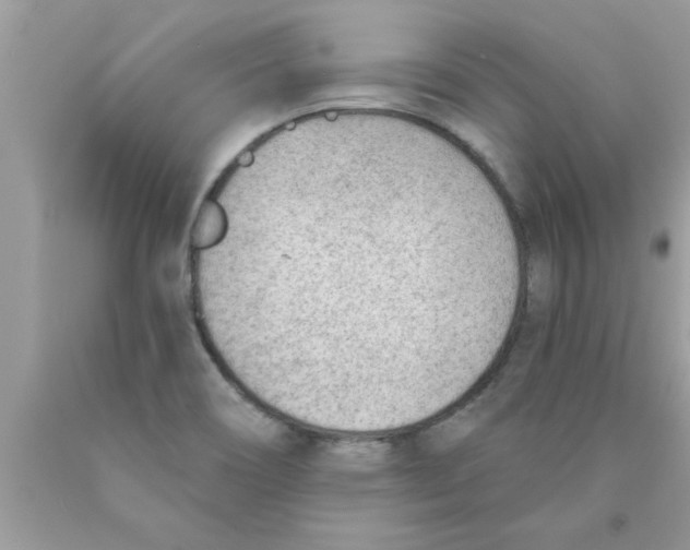 X0000089861466200707262118