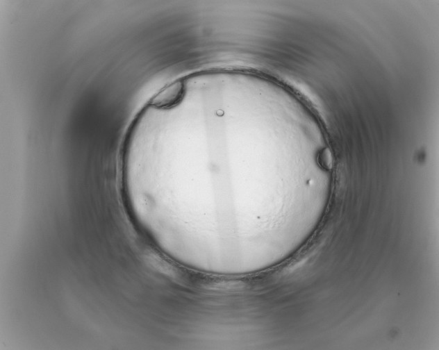 X0000089861467200707262118