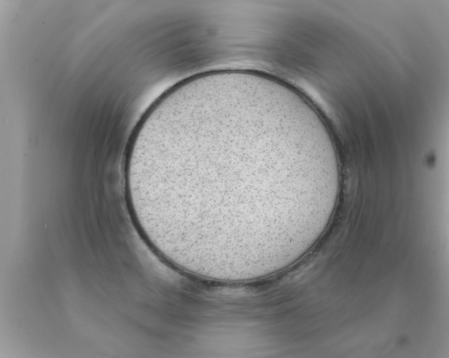 X0000089861468200707262118