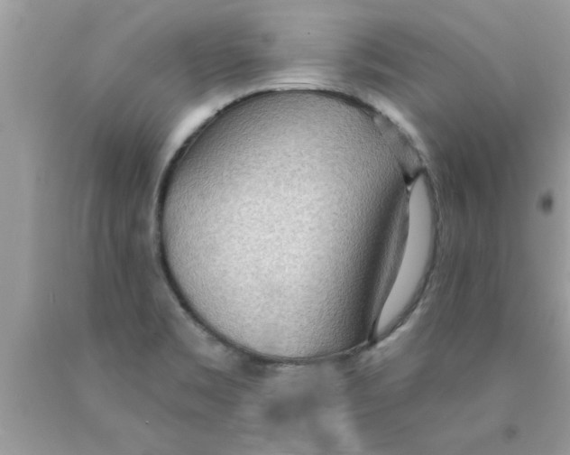 X0000089861469200707262118