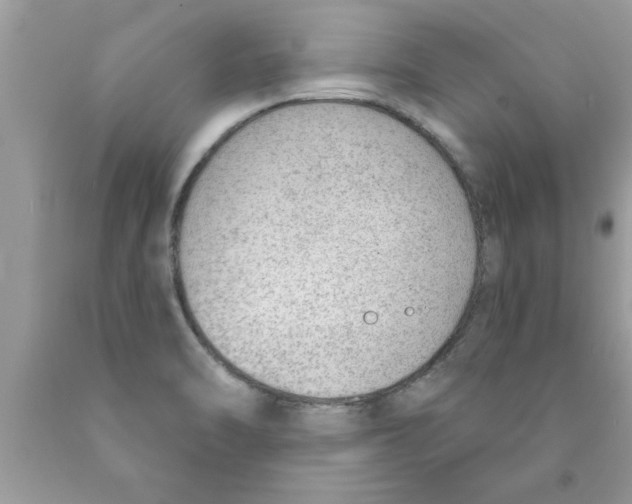 X0000089861470200707262118