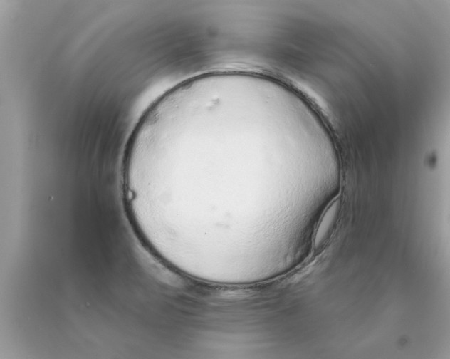 X0000089861471200707262118