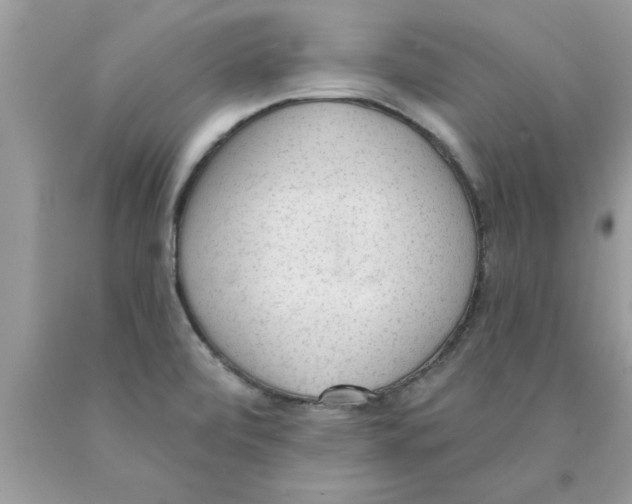 X0000089861472200707262118