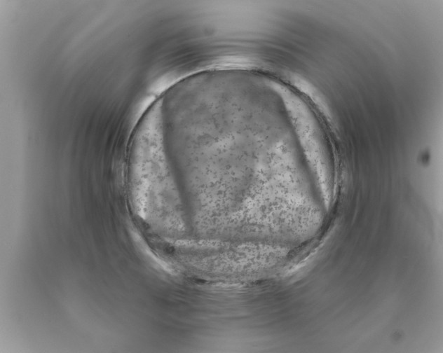 X0000089861473200707262118