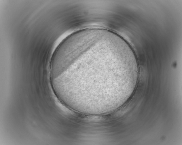 X0000089861474200707262118