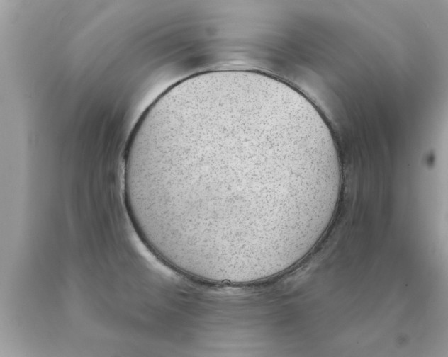 X0000089861476200707262118