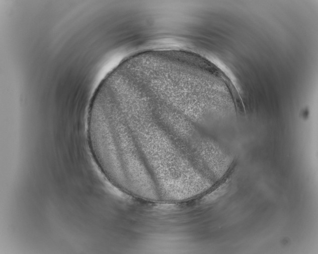 X0000089861477200707262118