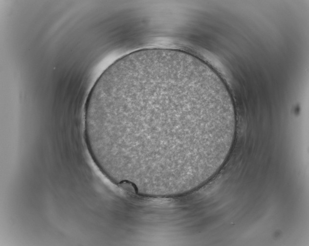 X0000089861479200707262118