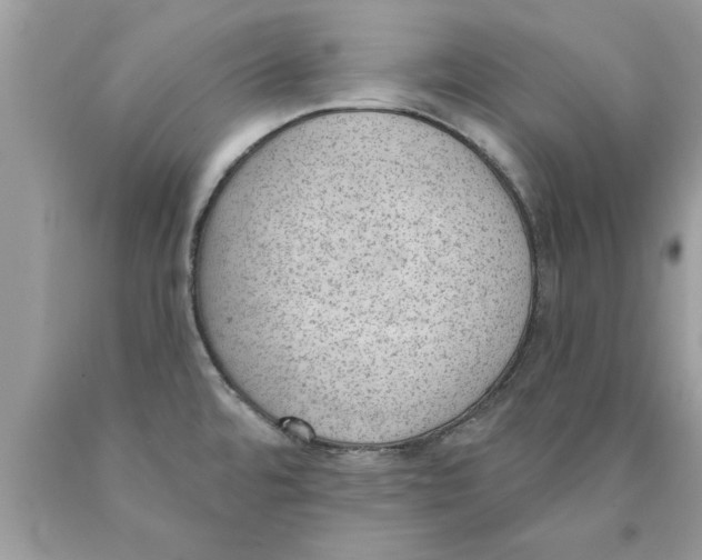 X0000089861480200707262118