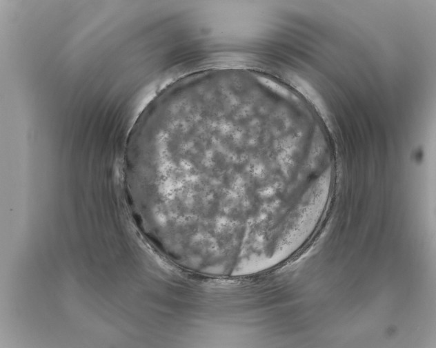 X0000089861481200707262118