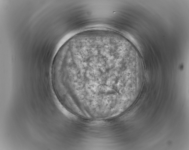 X0000089861482200707262118