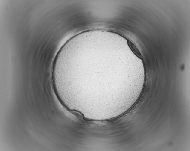 X0000089861483200707262118