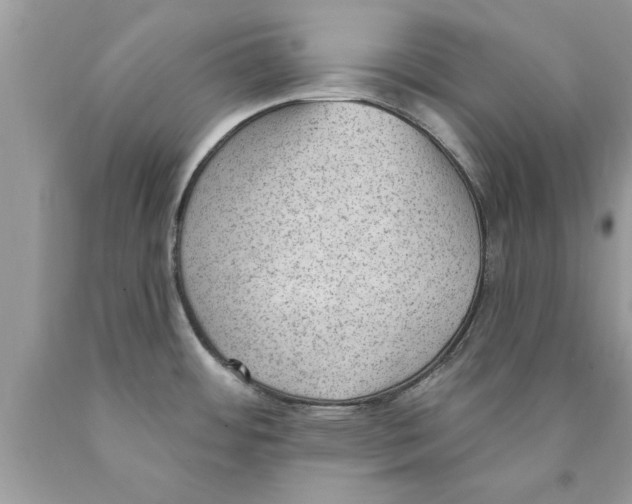 X0000089861484200707262118