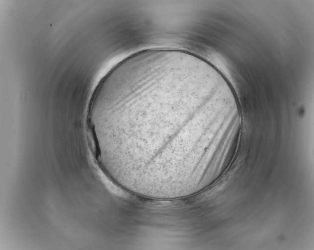 X0000089861485200707262117