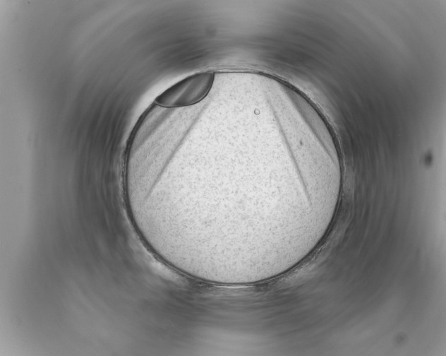 X0000089861486200707262117