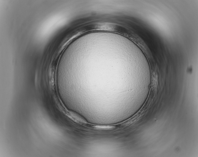 X0000089861487200707262117